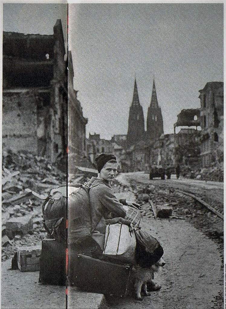 This image has an empty alt attribute; its file name is 015.jpg