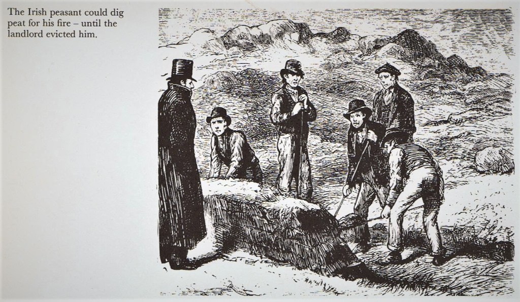 This image has an empty alt attribute; its file name is 028.jpg