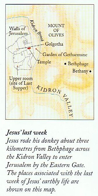 This image has an empty alt attribute; its file name is 026.jpg