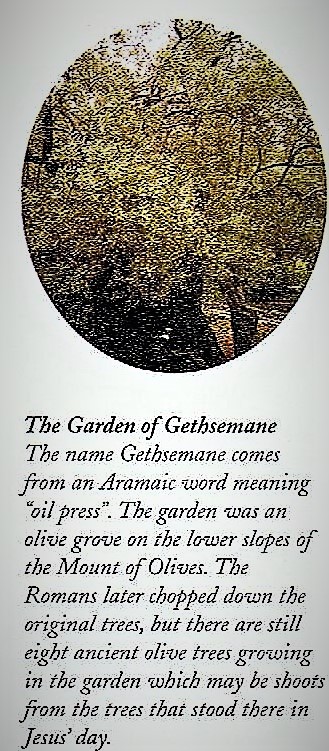 This image has an empty alt attribute; its file name is 030-3.jpg