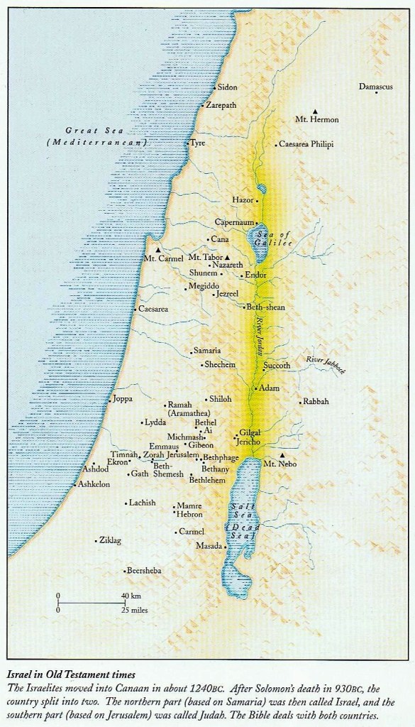 This image has an empty alt attribute; its file name is 011-1.jpg