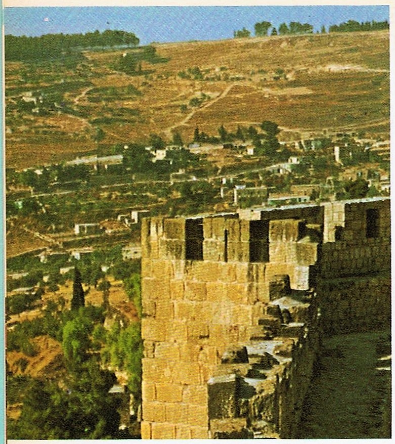 This image has an empty alt attribute; its file name is 020-1.jpg