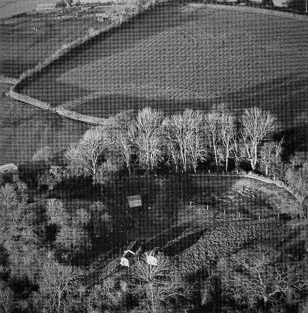 This image has an empty alt attribute; its file name is 013-1.jpg